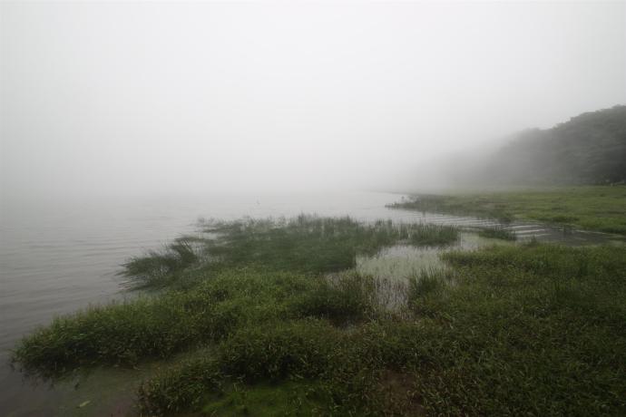 Le lac dans la brume